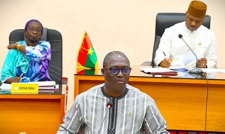 Afrique : Les budgets santé face à l’urgence du financement domestique